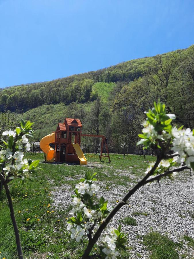 Marginimea Sibiului