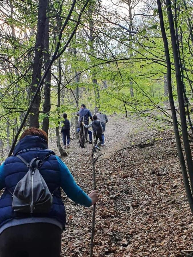 Marginimea Sibiului Pensiune